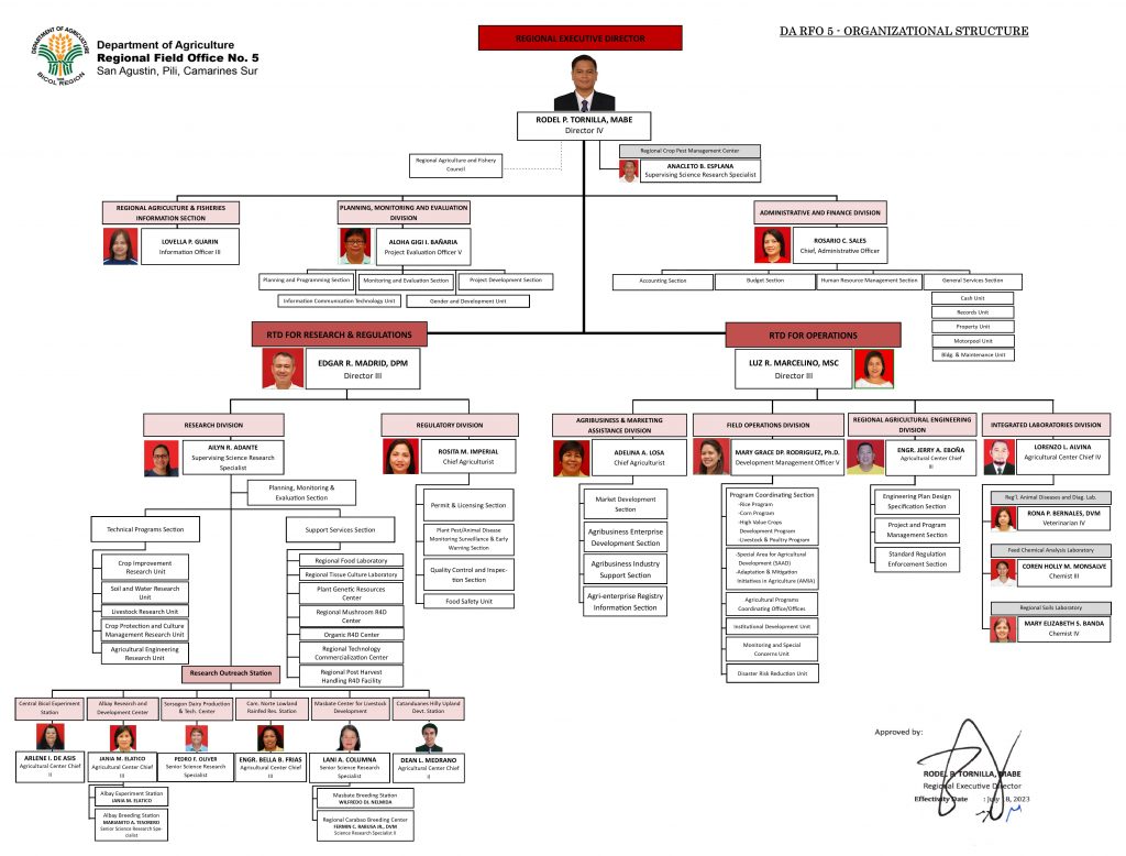 Organizational Chart | DA Regional Field Office 5